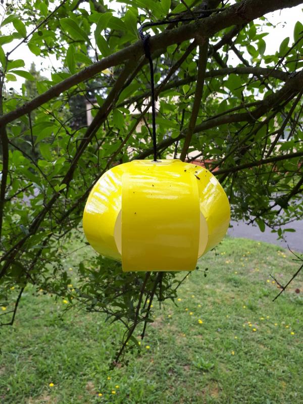 STOPSET Baloon